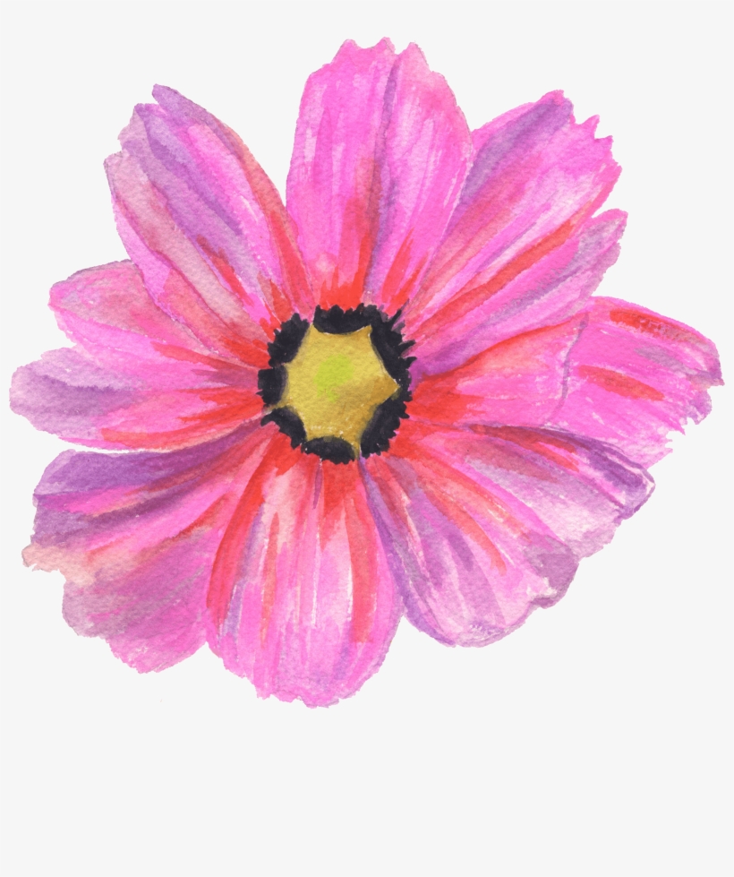 Gerbera, transparent png download