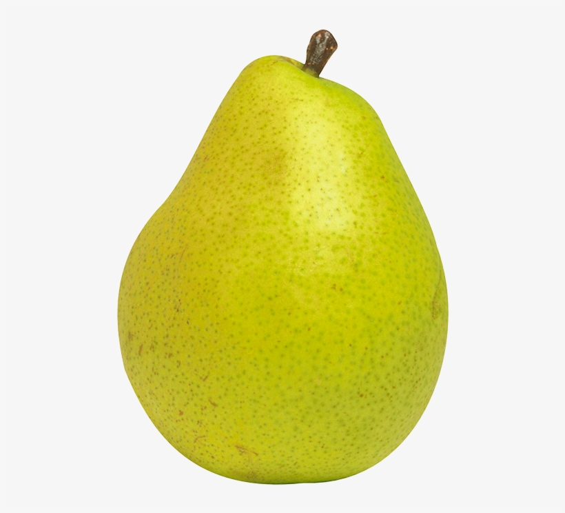 Pear Fruit Png Clipart Nashpati Clipart Transparent Png 516x698 Free Download On Nicepng