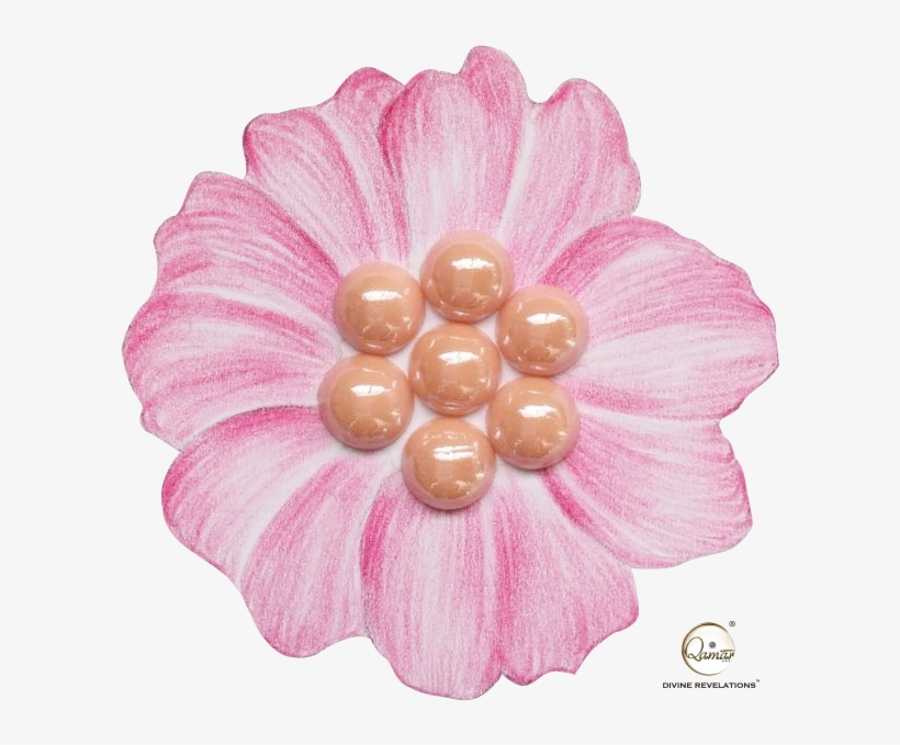 Apricot - Gerbera, transparent png download