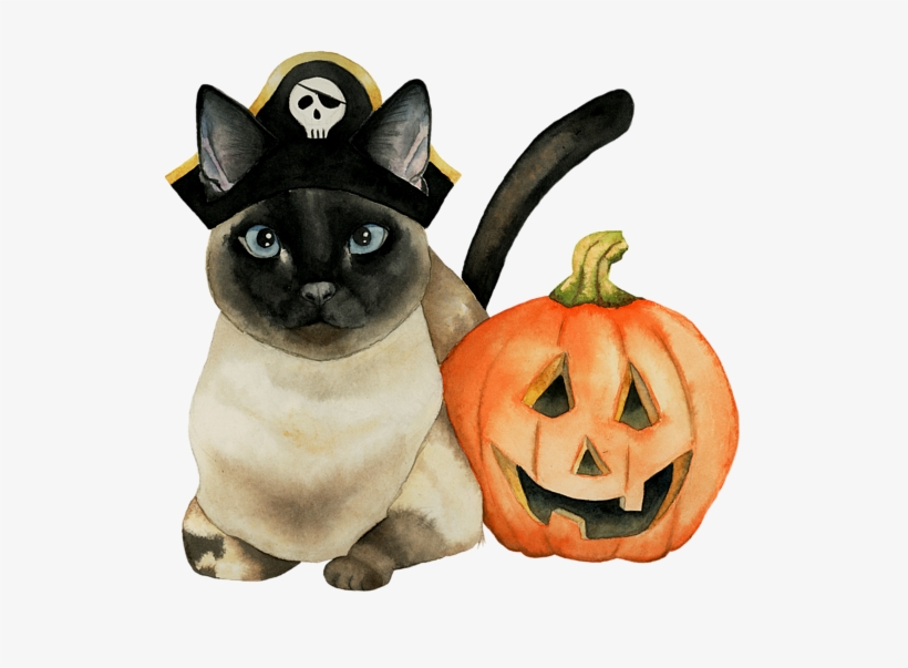 Jack O' Lantern By Namibear - Gatos Para Halloween En Cerámica, transparent png download