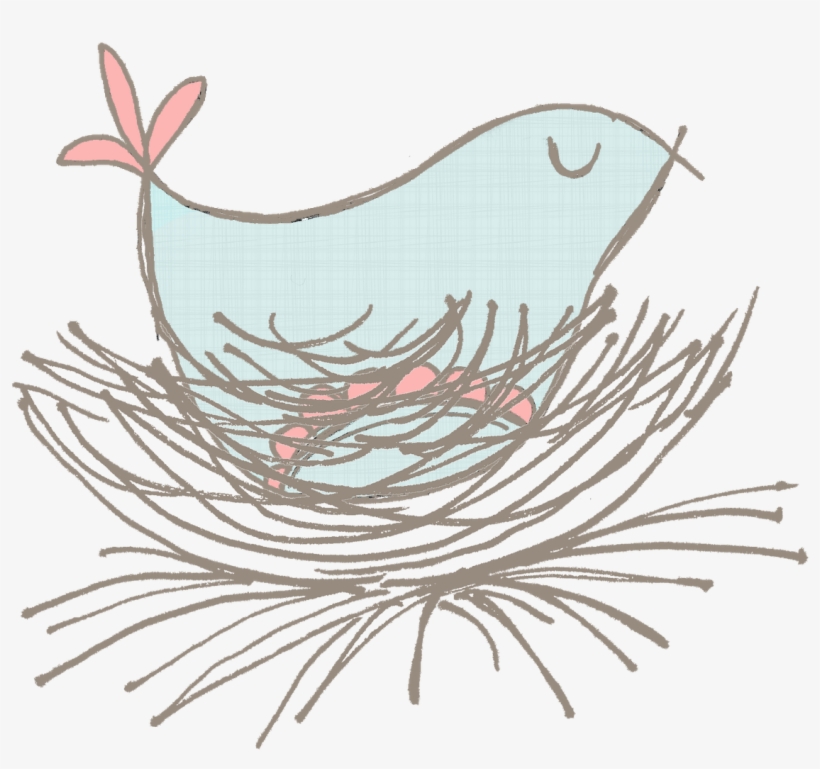Chicken Bird Galliformes Drawing - Chicken, transparent png download