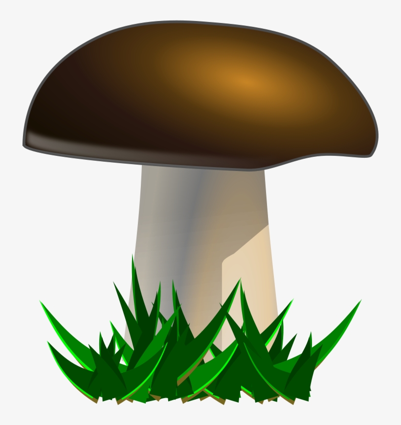 Clipart Food Mushroom - Mushroom Clipart, transparent png download