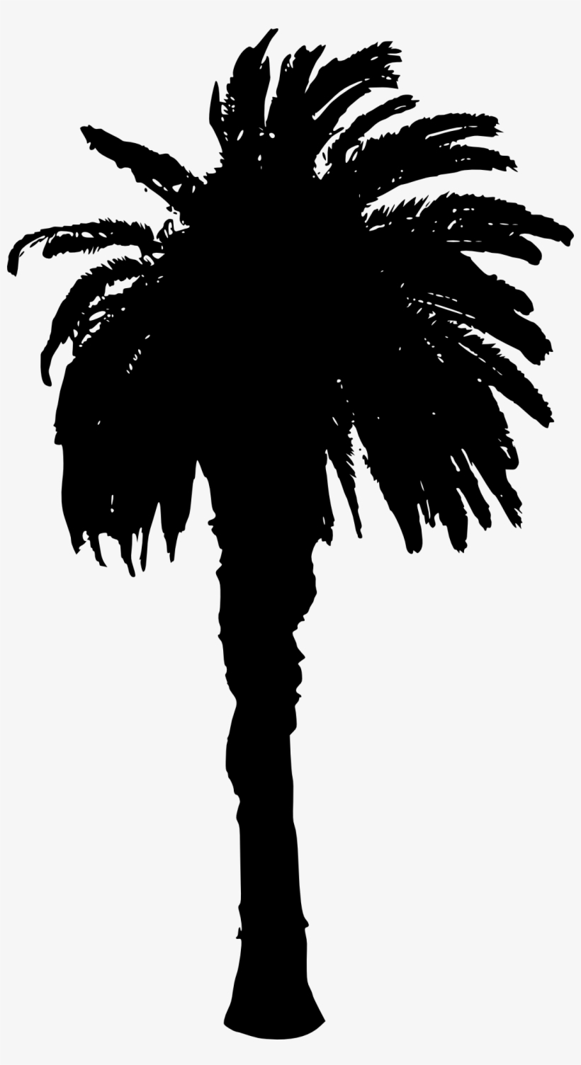 Free Download - Date Tree Silhouette, transparent png download