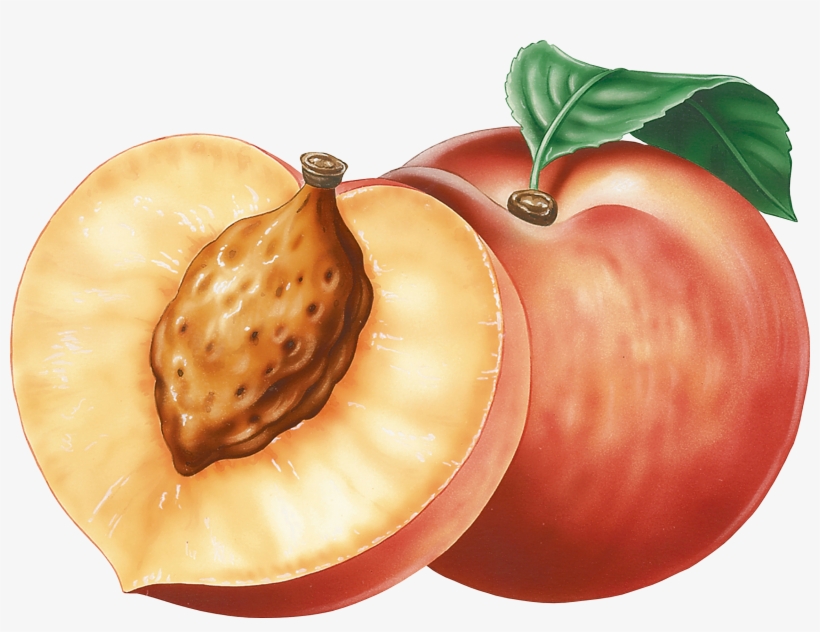 Peach Clipart Png, transparent png download