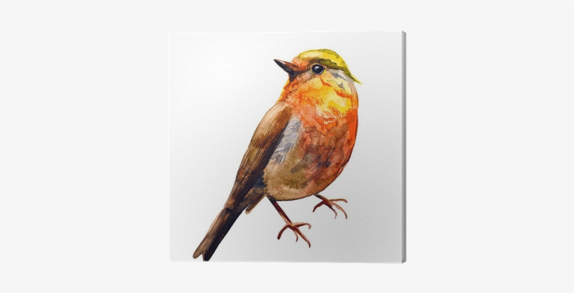 Cute Birds For Your Design - Water Colour Painting Bird Fly, transparent png download