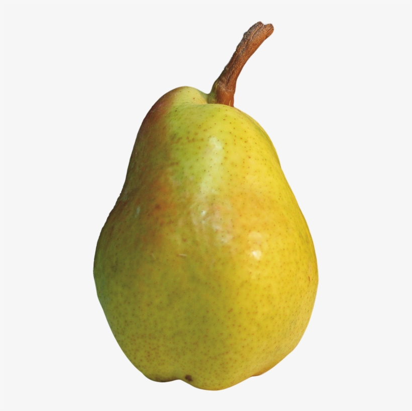 Download Pear Png Image - Pear Png, transparent png download