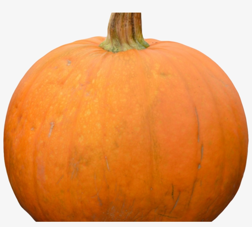 Pumpkin Png Image1 - Pumpkin, transparent png download