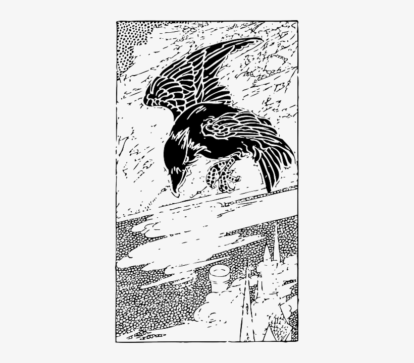 Crow Bird Drawing - Raven Drawings, transparent png download