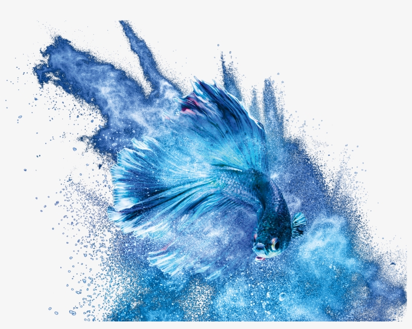 For Hp Commercial Sheet Presses - Paper, transparent png download