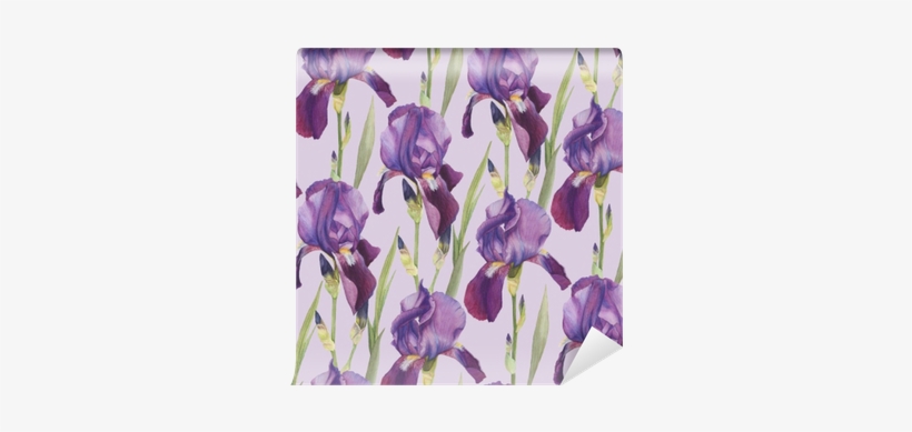 Drawing Irises Watercolor - Watercolor Painting, transparent png download