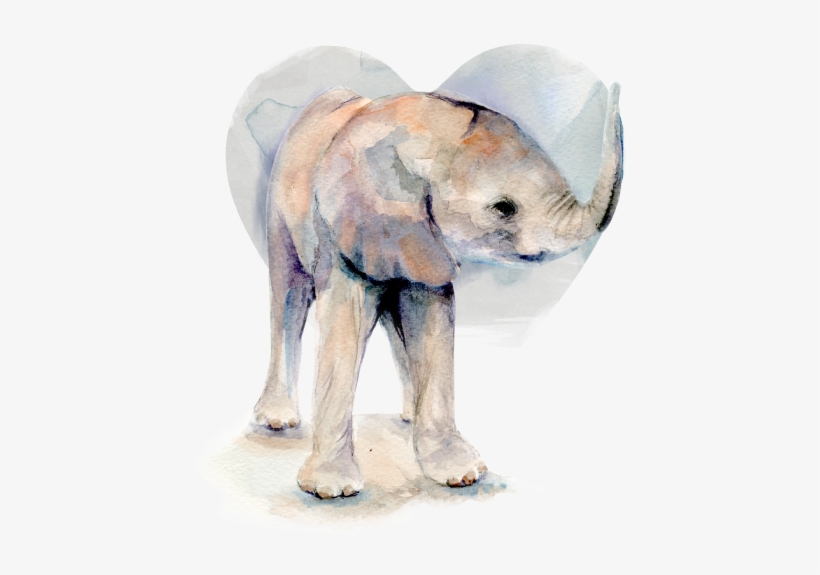 Sheldrick Wildlife @dswt - David Sheldrick Wildlife Trust, transparent png download