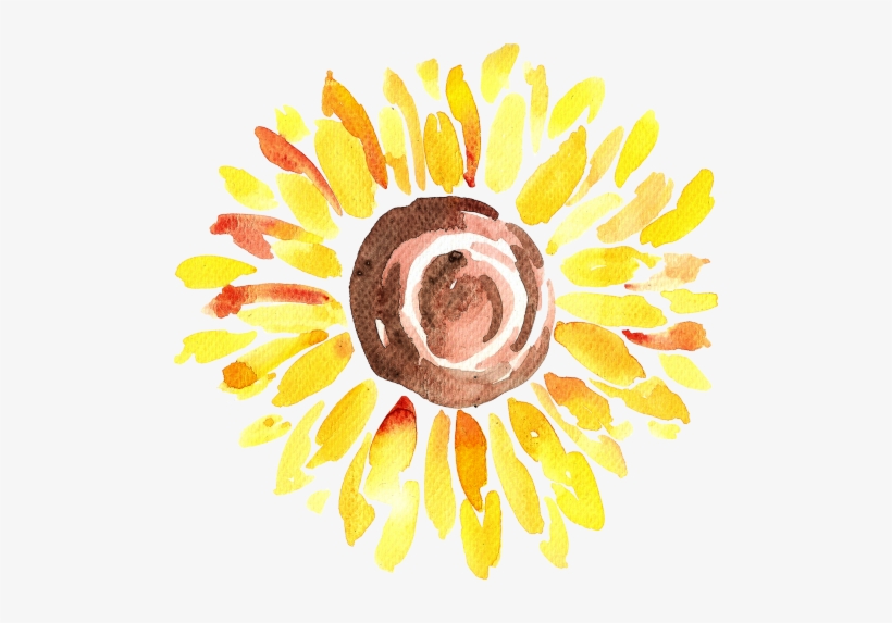 Art Transparent Watercolor Sunflower - Chenara Dodge, transparent png download