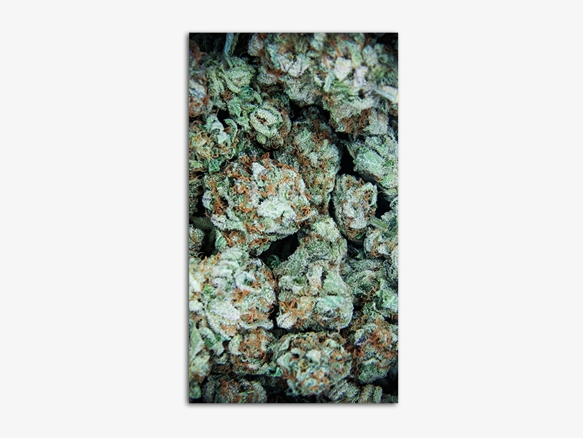 White Widow Mobile Wallpaper Big - Cayler & Sons Snapback Cap - Kush Classic Black, transparent png download