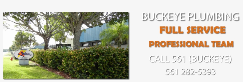 Slide-1 - 583 - 97 Kb - Buckeye Plumbing Inc, transparent png download