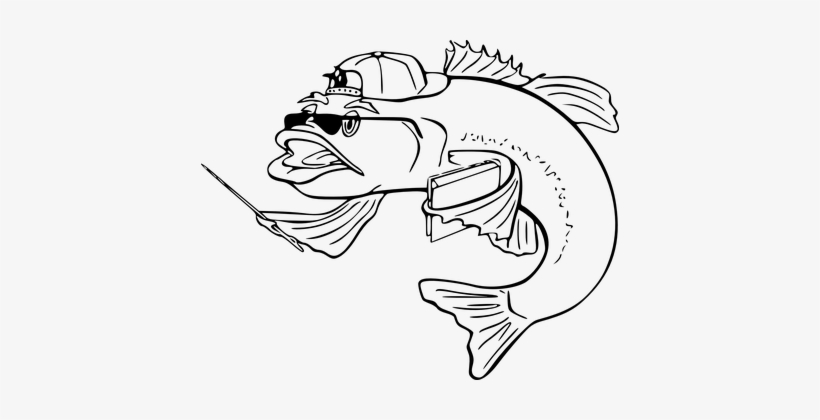 Fish Funny Faces Sunglasses Stylish Fashio - Fish Clip Art, transparent png download