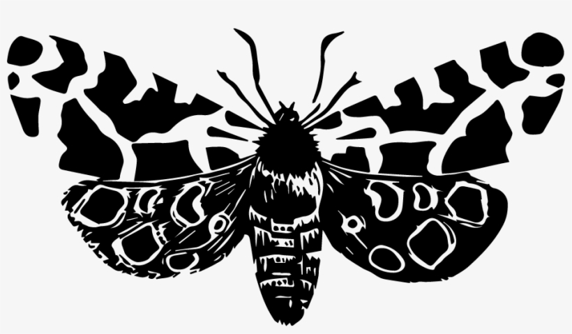 Thank You To Our Sponsors - Illustration, transparent png download