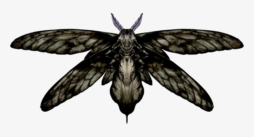 Giant Moth - Black Moth With Stinger, transparent png download