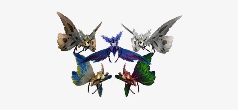 A Group Of Various Moths - World Of Warcraft Moth, transparent png download