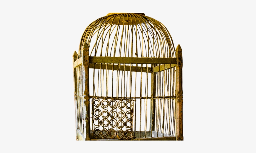Man In A Golden Cage - Vintage Cage Png, transparent png download