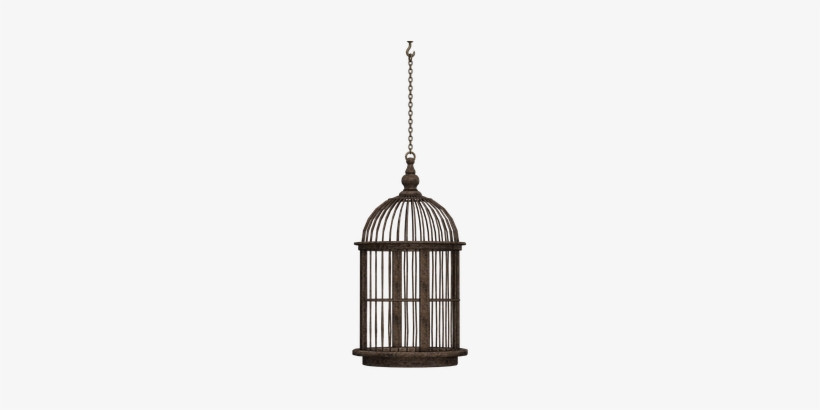Cage Bird Cage Closed Container Braid Chai - Hanging Bird Cage Black, transparent png download