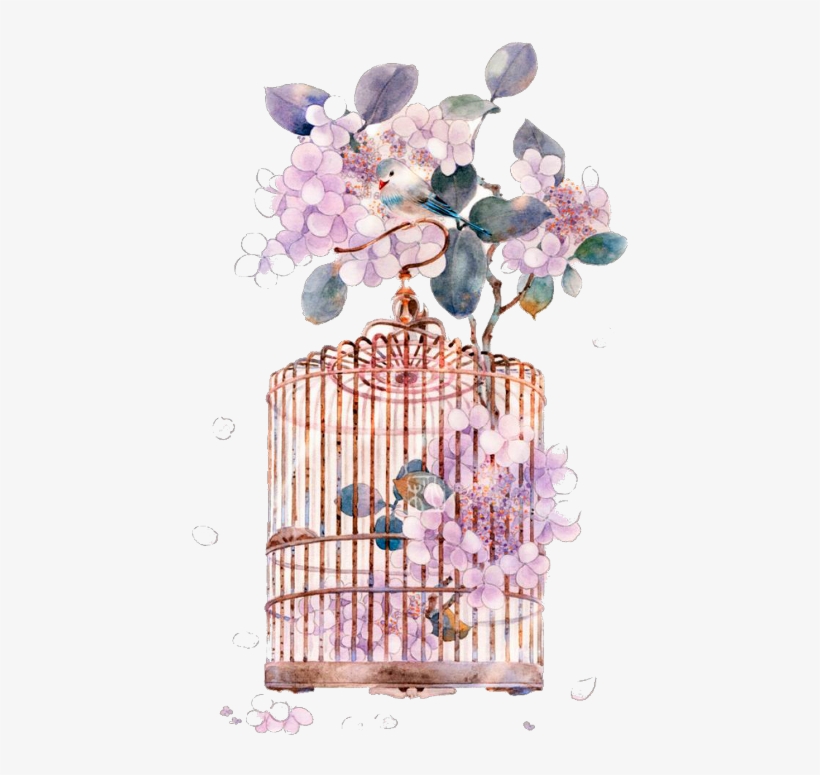 Flower Cage Png, transparent png download