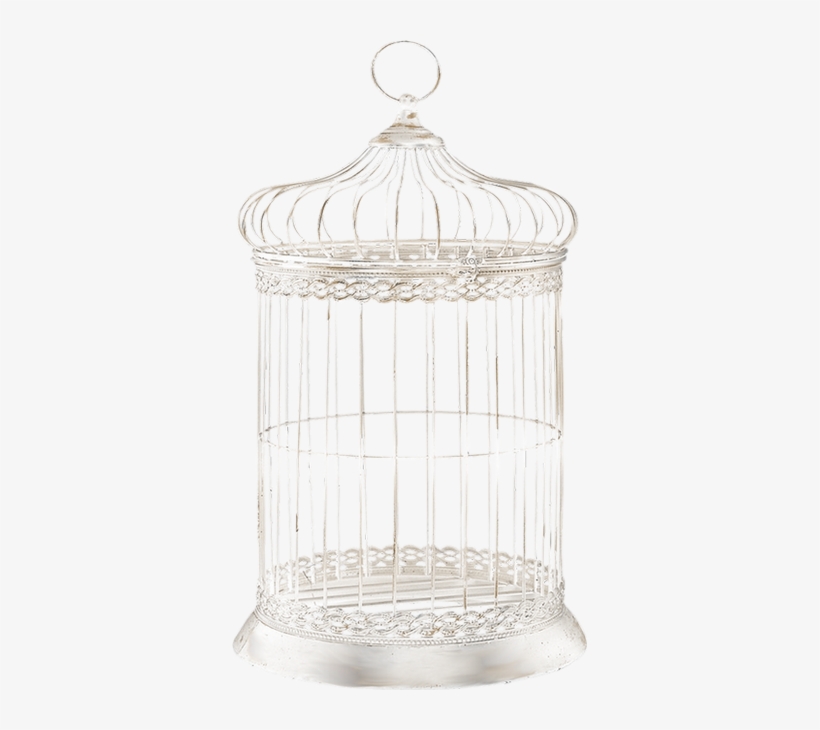 Cage, transparent png download