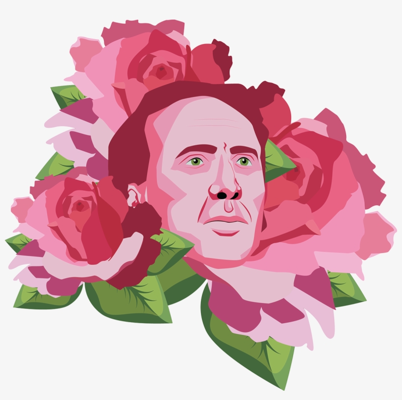 Of Course, Another Plant Rose - Coffee, transparent png download