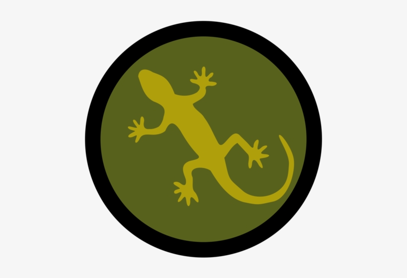 Frog Lizard Reptile Common Iguanas Footprint - Iguana, transparent png download