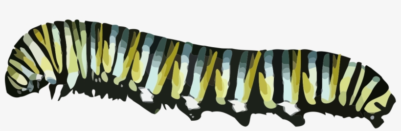 Caterpillar Png, transparent png download