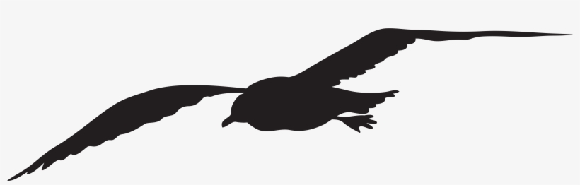 View Full Size - Sea Gull Clip Art, transparent png download