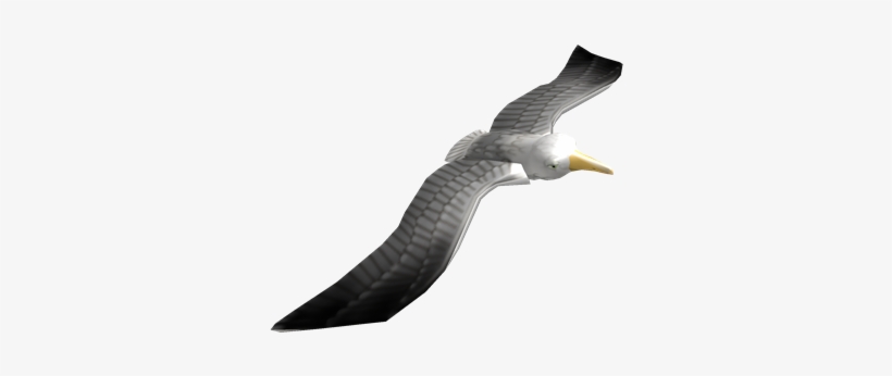 Seagull Friend - Roblox Seagull, transparent png download
