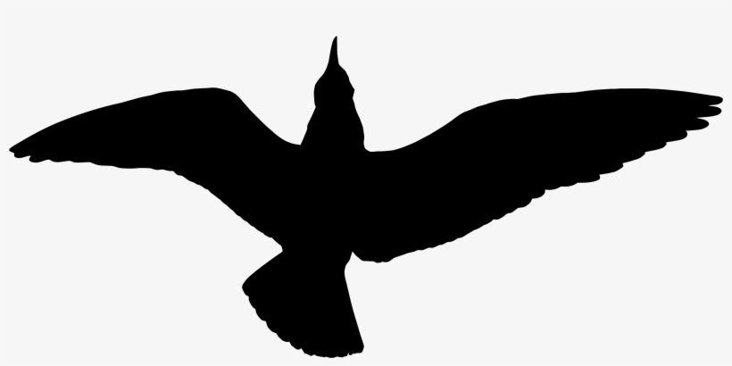 This Free Icons Png Design Of Seagull Silhouette, transparent png download
