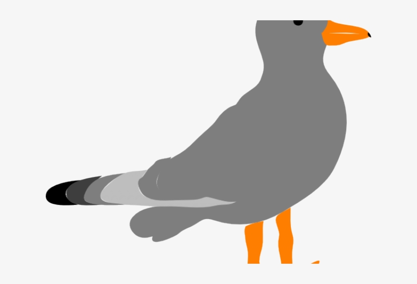 Seagull Clipart Vector - Clip Art Gull, transparent png download