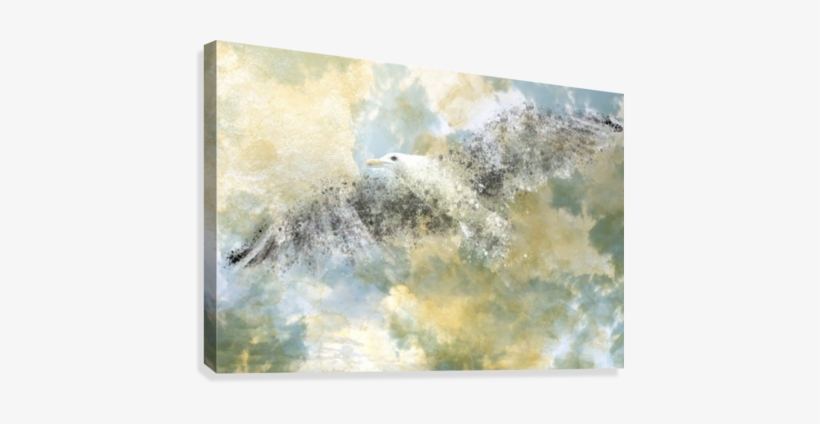 Vanishing Seagull Canvas Print - Digital Art, Vanishing Seagull By Melanie Viola Hi, transparent png download
