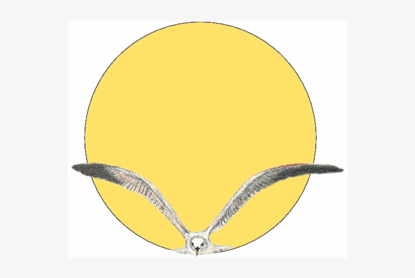 The Vacuum Seagull With Our Labelling Choice - Circle, transparent png download