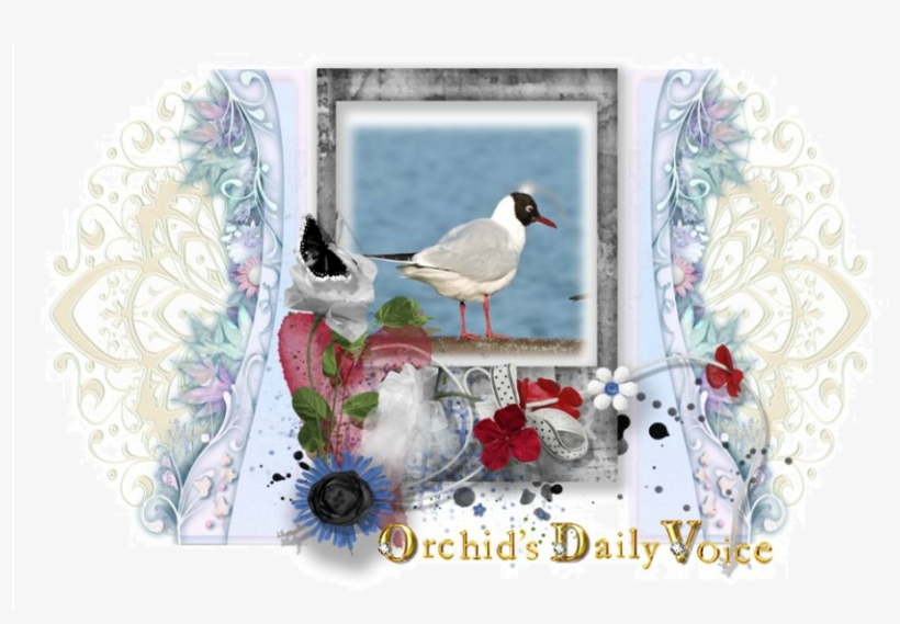 Sea Gull And March Of Ducks Etc - Craft, transparent png download