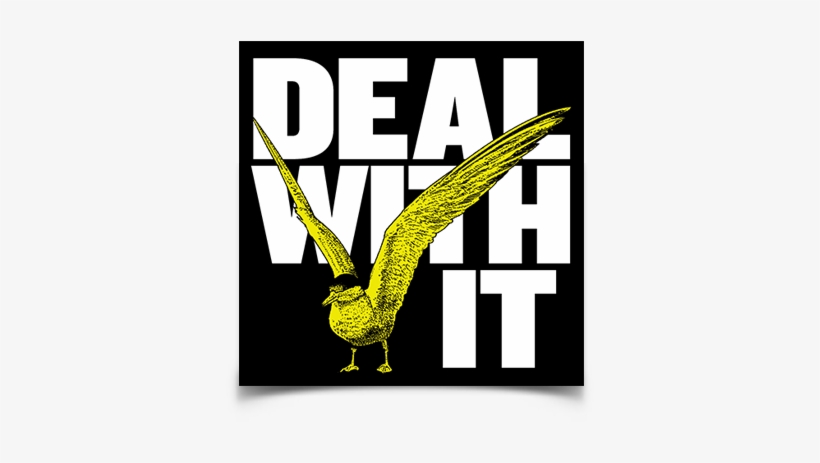 Deal With It Seagull Sticker - Bird, transparent png download