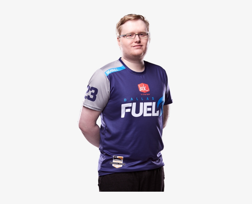 You Train In Overwatch - Seagull Overwatch, transparent png download