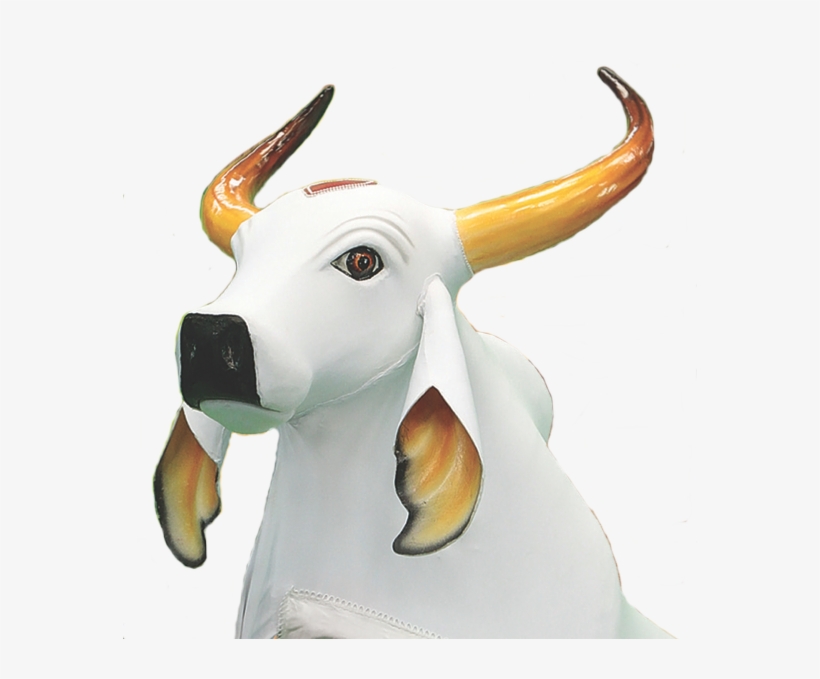 Boi Garantido Png - Photograph, transparent png download