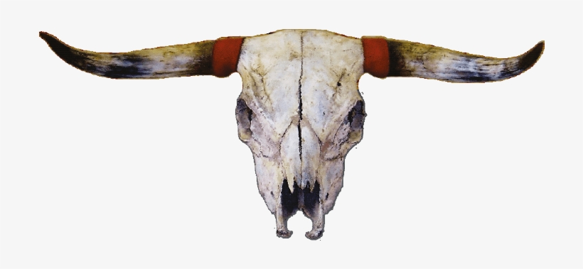 Touros De Rodeio Em Png, transparent png download