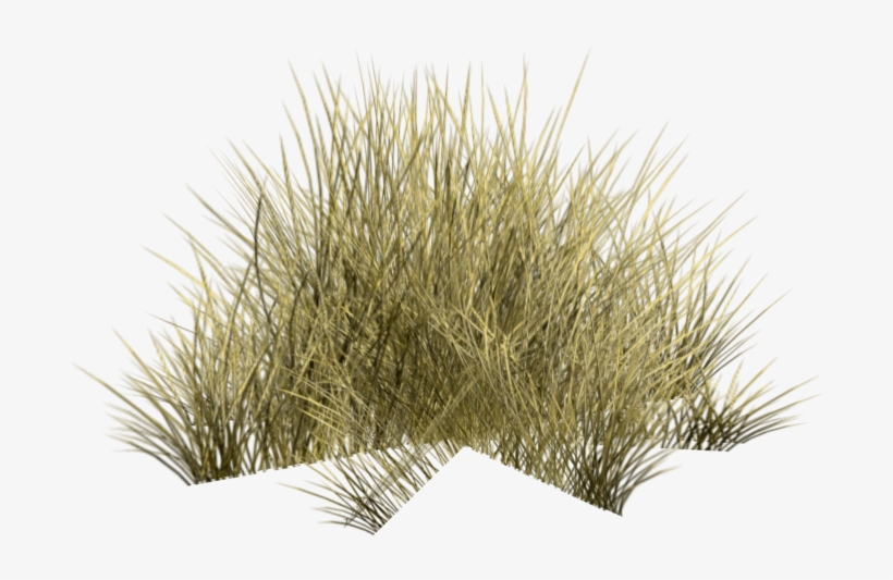 Grass2 - Desert, transparent png download