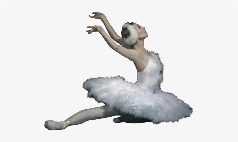 Iperm Opera Ballet / Editing - Swan Lake Ballerina Png, transparent png download