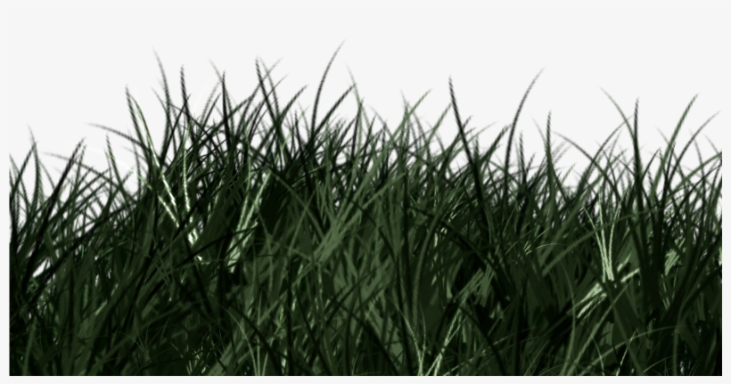 Previous Next - Sweet Grass, transparent png download