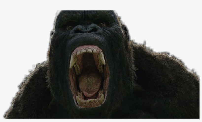 Kong Skull Island Png - Gorilla, transparent png download