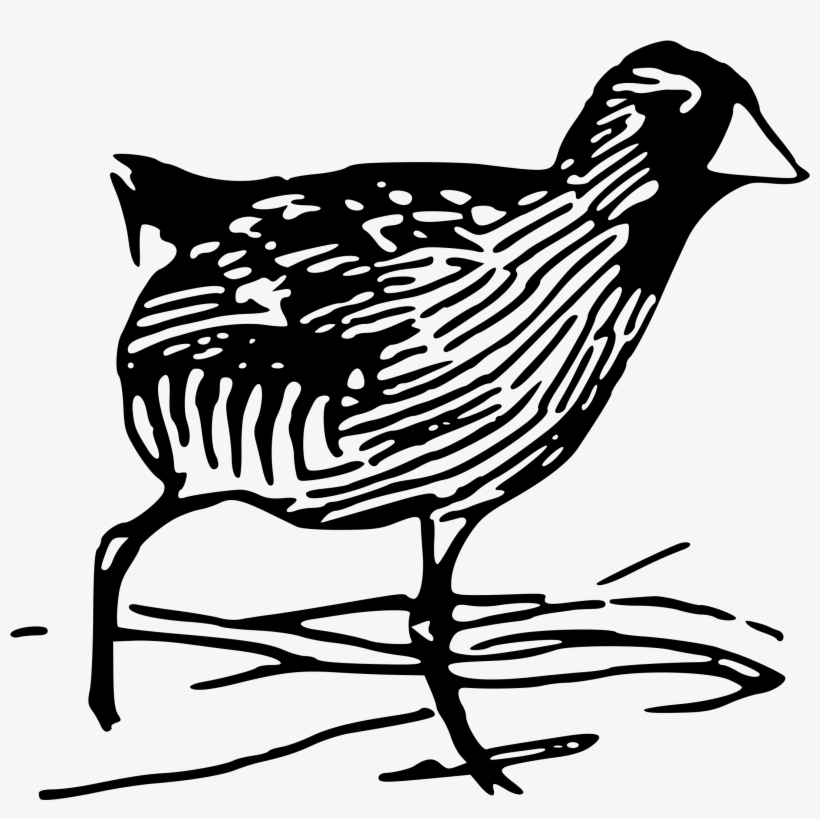 This Free Icons Png Design Of Sora Rail 1, transparent png download