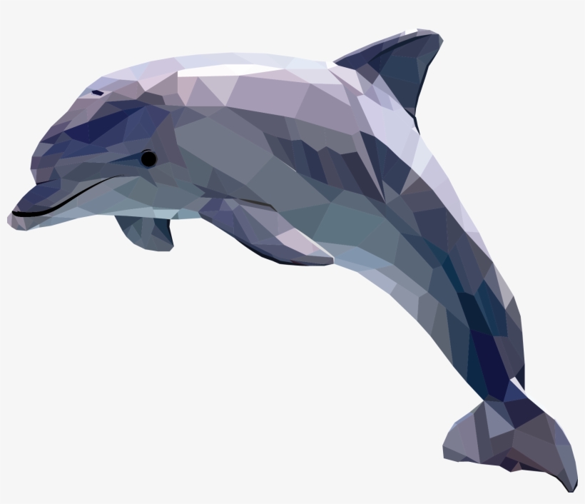 Polygonal - Dolphin Clipart, transparent png download
