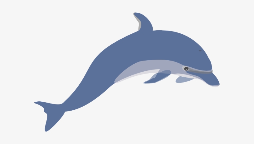 Dolphin 3 Clip Art - Dolphin Clipart Png, transparent png download