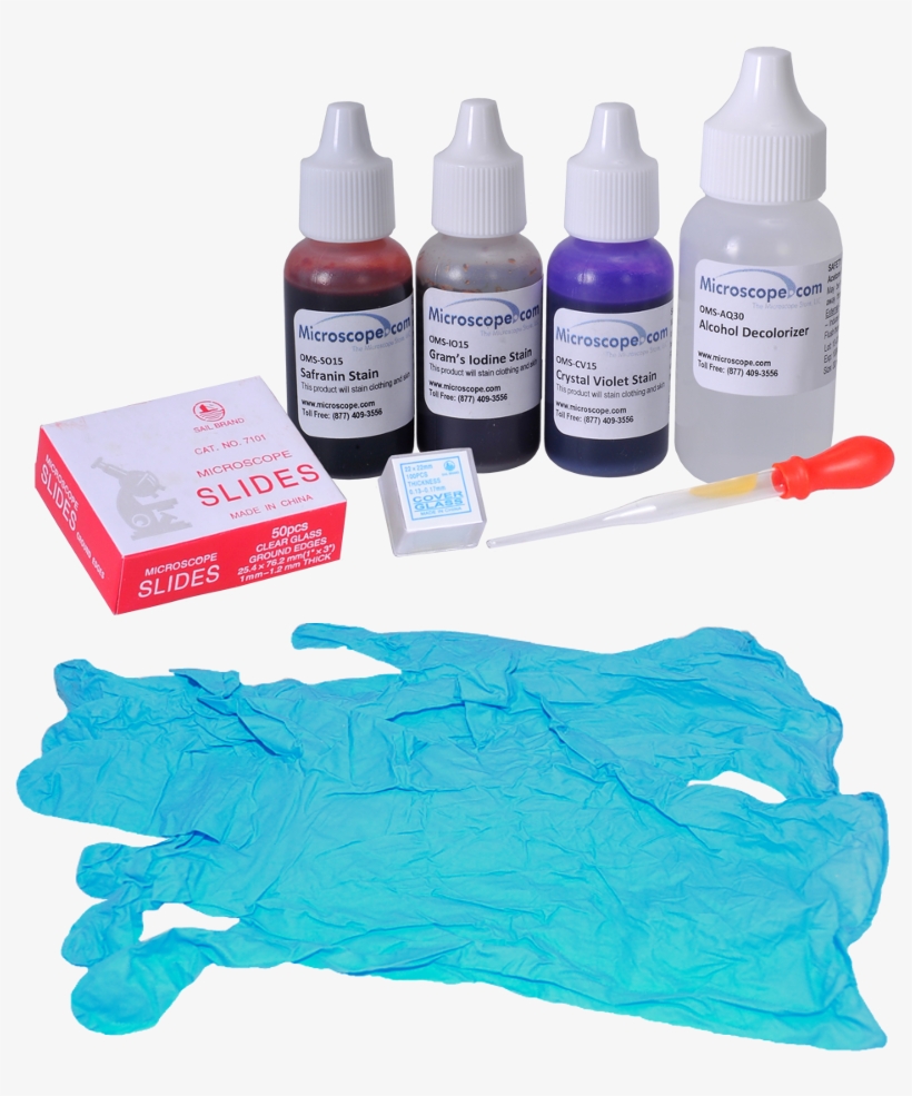 Omano Oms-gram Stain Kit - Omano Microbiology Kit With Starter Slide Kit, transparent png download
