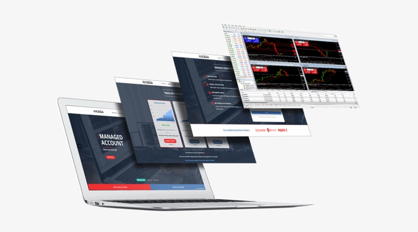 Knox Forex Ea Screens - Foreign Exchange Market, transparent png download