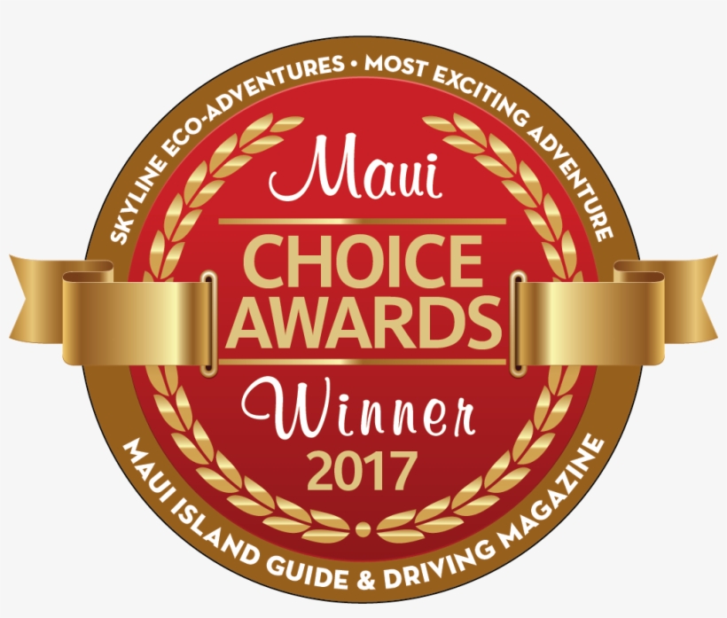 Hawaii's Most Awarded Zipline Company - Blaze Outdoor Products Blaze Professional 3-burner, transparent png download